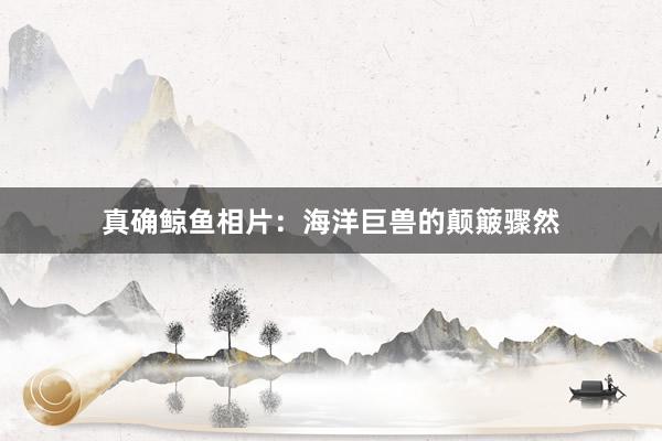 真确鲸鱼相片：海洋巨兽的颠簸骤然